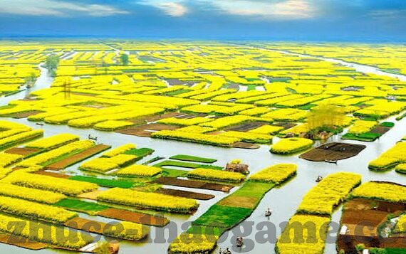 澳门威尼斯人注册官网-澳门威尼斯人注册官网，探索澳门娱乐新地标