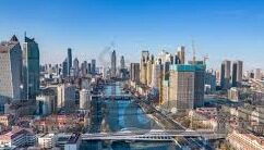 森林舞会游戏在哪下载-探索森林舞会，一场自然与娱乐的奇妙融合